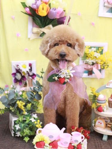 20230322ジョンくん